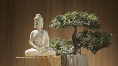 vista da estatueta de buda com bonsai