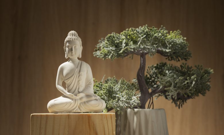 vista da estatueta de buda com bonsai