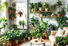 Decoração com Plantas: 5 Dicas para Deixar Sua Casa Verde