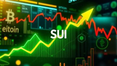 SUI Dispara 17% - O Que Esperar do Mercado?